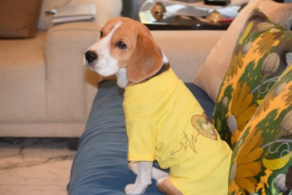 Braveheart Tshirt