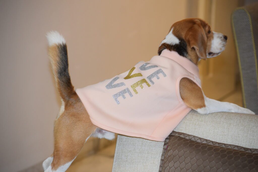 Peaches Jacket3