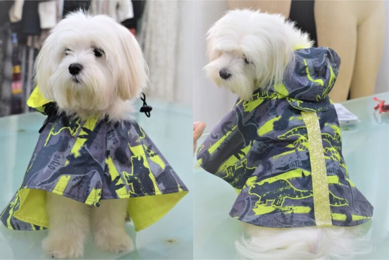Home 4 Pet couture4